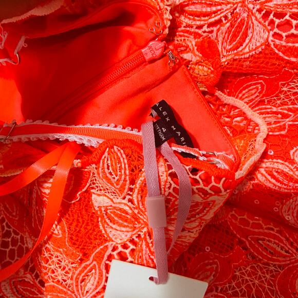 Alex Marie Crystal Embroidered Lace Sleeveless Dress, Sz 4 -- NWT - Picture 8 of 11